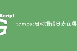 tomcat启动报错日志在哪