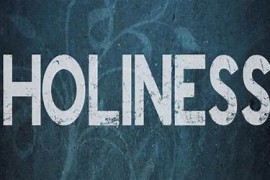 holiness（守护甜心咒语）