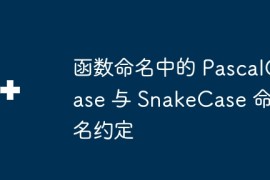 函数命名中的 PascalCase 与 SnakeCase 命名约定