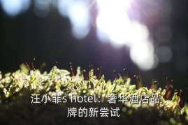 汪小菲s hotel,汪小菲出品，浪漫小镇酒店新品上市