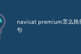 navicat premium怎么执行语句