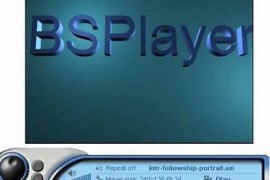 bsplyer（安卓版本BSplyer 如何设置中文或者如何设置成全屏没有分了···请大家帮个忙吧···）