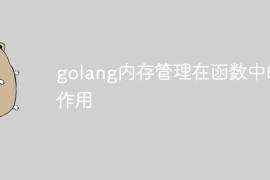 golang内存管理在函数中的作用