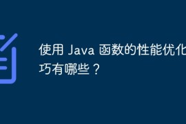 使用 Java 函数的性能优化技巧有哪些？