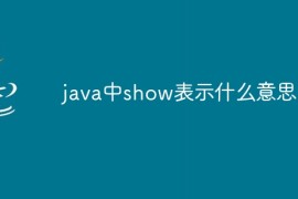 java中show表示什么意思