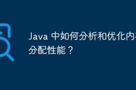 Java 中如何分析和优化内存分配性能？