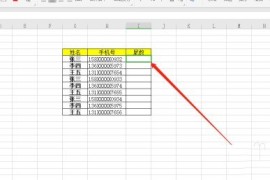 Excel表格中怎么自动填充手机号尾数？Excel表格自动填充手机号尾数的教程介绍