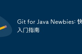Git for Java Newbies: 快速入门指南