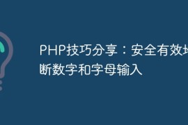 PHP技巧分享：安全有效地判断数字和字母输入