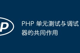 PHP 单元测试与调试器的共同作用