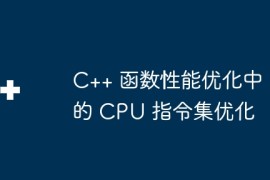 C++ 函数性能优化中的 CPU 指令集优化