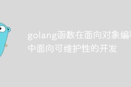 golang函数在面向对象编程中面向可维护性的开发