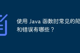 使用 Java 函数时常见的陷阱和错误有哪些？