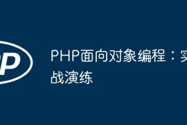 PHP面向对象编程：实战演练