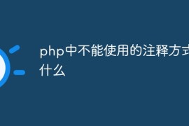php中不能使用的注释方式是什么