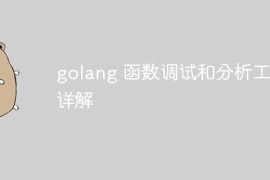 golang 函数调试和分析工具详解