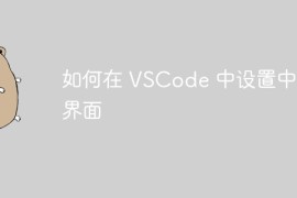 如何在 VSCode 中设置中文界面