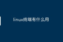 linux终端有什么用