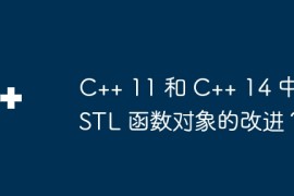 C++ 11 和 C++ 14 中 STL 函数对象的改进？