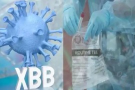 XBB免疫逃逸能力增强意味着什么(XBB毒株是什么病毒)(XBB免疫逃逸能力)