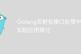 Golang反射在接口处理中的实际应用探讨