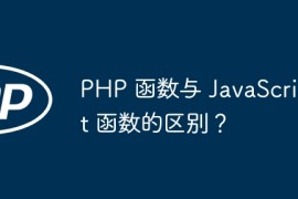 PHP 函数与 JavaScript 函数的区别？