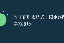 PHP正则表达式：限定匹配汉字的技巧
