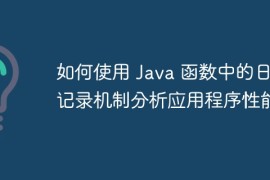 如何使用 Java 函数中的日志记录机制分析应用程序性能？
