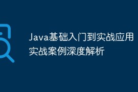 Java基础入门到实战应用：实战案例深度解析