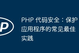 PHP 代码安全：保护应用程序的常见最佳实践