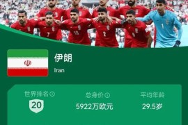 伊朗足球队世界排名？伊朗足球什么水平