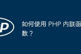 如何使用 PHP 内联函数？