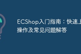 ECShop入门指南：快速上手操作及常见问题解答