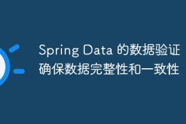 Spring Data 的数据验证：确保数据完整性和一致性