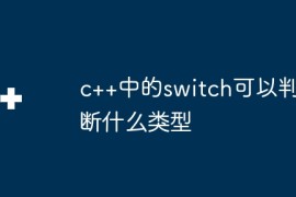 c++中的switch可以判断什么类型