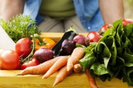 如何保存蔬菜 蔬菜保存方法(蔬菜的保存方法有哪些)