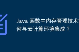Java 函数中内存管理技术如何与云计算环境集成？