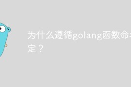 为什么遵循golang函数命名约定？