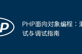 PHP面向对象编程：测试与调试指南
