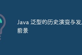 Java 泛型的历史演变与发展前景