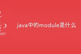 java中的module是什么