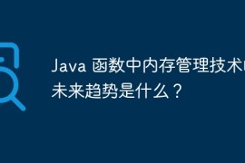 Java 函数中内存管理技术的未来趋势是什么？