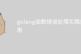 golang函数错误处理实践指南