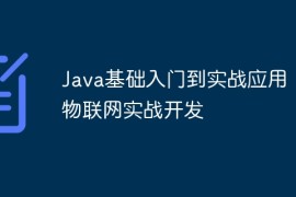 Java基础入门到实战应用：物联网实战开发