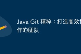 Java Git 精粹：打造高效协作的团队