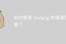 如何使用 Golang 的错误包装器？