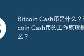 Bitcoin Cash币是什么？Bitcoin Cash币的工作原理是什么？