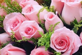 粉色玫瑰代表什么意思（粉色玫瑰的含义和象征）