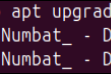 如何在Ubuntu 24.04上安装Angular