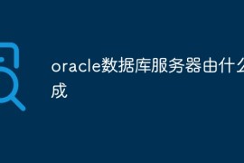 oracle数据库服务器由什么组成